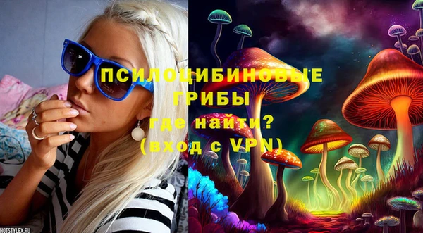 mdpv Алзамай