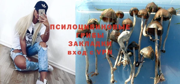 mdpv Алзамай