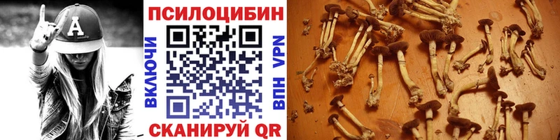 Псилоцибиновые грибы Cubensis  Комсомольск 